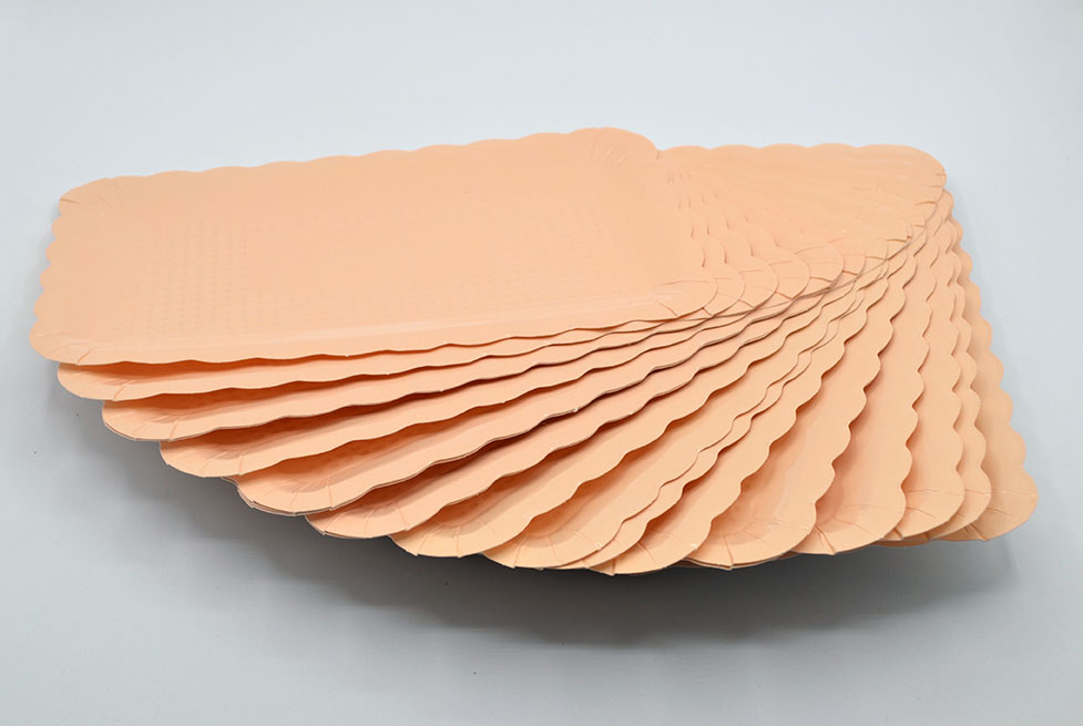 Plats rectangulaires 260x160 imprimé pastel - orange