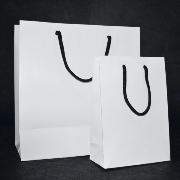 Sac en carton couché sans impression avec poignées torsadées